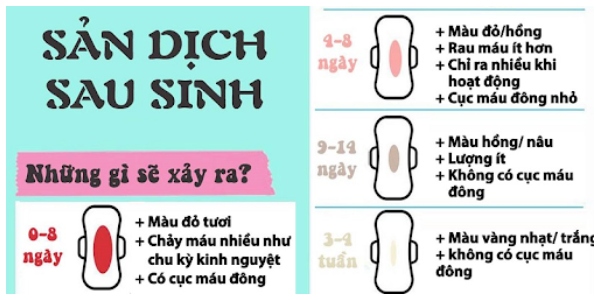 Sinh mổ bao lâu thì hết sản dịch? Sản phụ sinh mổ từ 20 - 45 ngày sẽ hết sản dịch