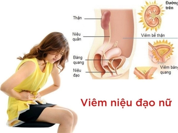 Vi khuẩn xâm nhập qua lỗ niệu đạo là nguyên nhân bị viêm đường tiết niệu ở nữ