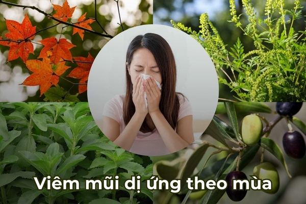 Viêm mũi xoang dị ứng theo mùa thường kéo dài, gây khó chịu cho người bệnh
