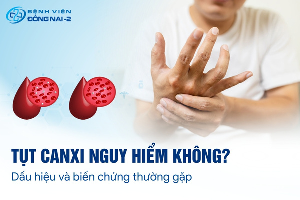 Canxi đóng vai trò thiết yếu trong duy trì xương khớp và dẫn truyền thần kinh